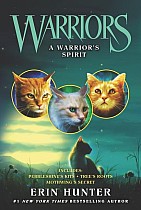 Warriors: The Broken Code #1: Lost Stars: Hunter, Erin: 9780062823533:  : Books